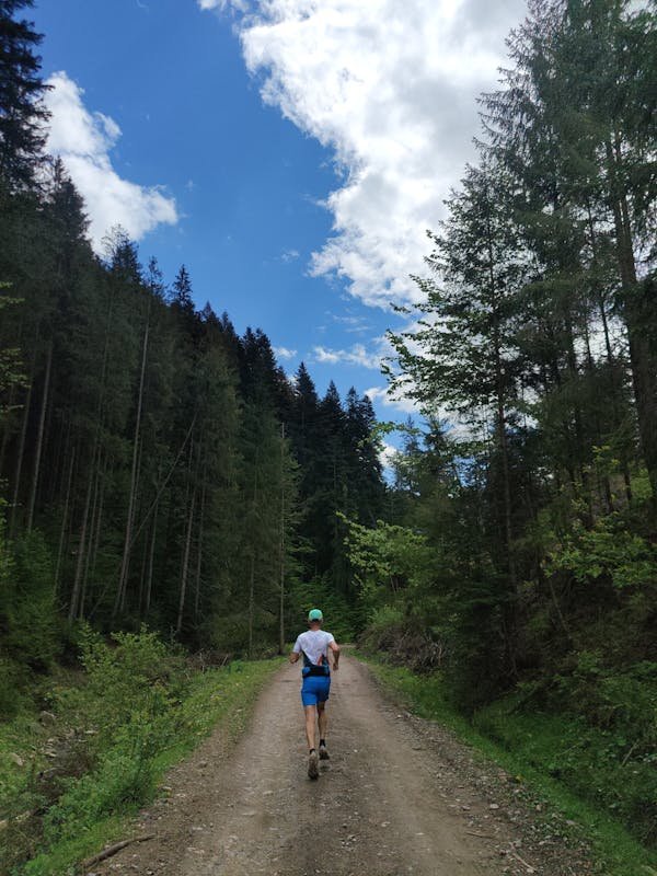Course à pied : les clés pour une aventure réussie en trail